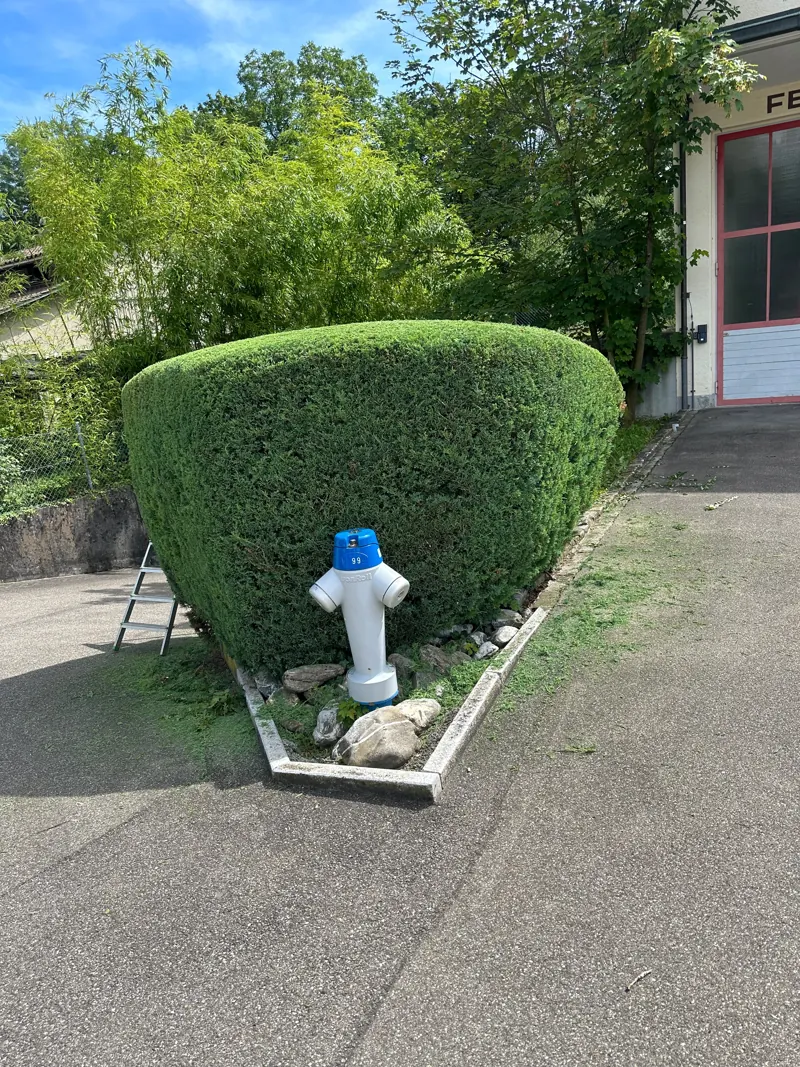 Geschnittenes Gehölz, Hydrant davor frei