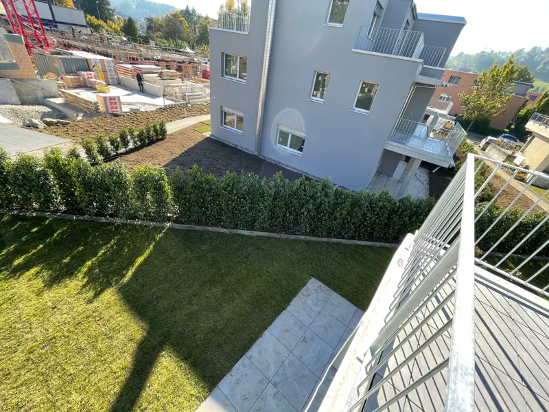 Frisch gepflanzte Hecke und Rollrasen an einem Wohnhaus