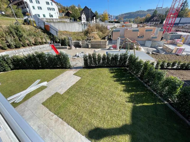 Sitzplatz und Rasen hinter einer neuen Hecke