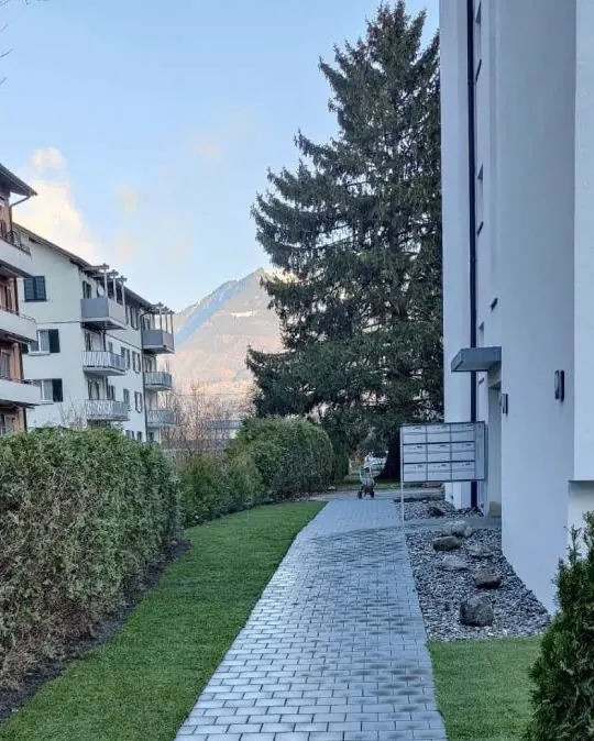 Nachher: neuer Plattenweg zwischen frischem Rasen, Hecke und Kiesstreifen entlang der Fassade